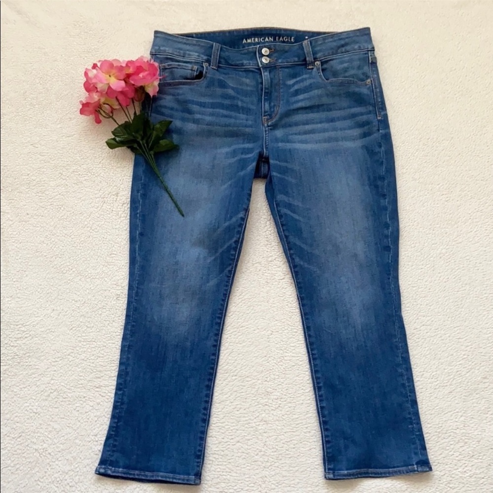 American Eagle Outfitters Artist Crop Jeans